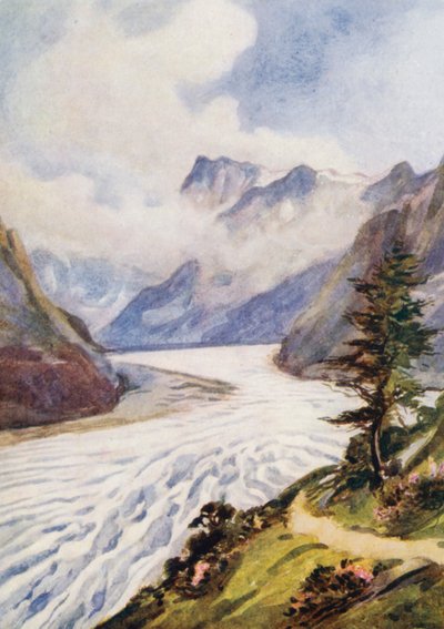  av Effie Jardine