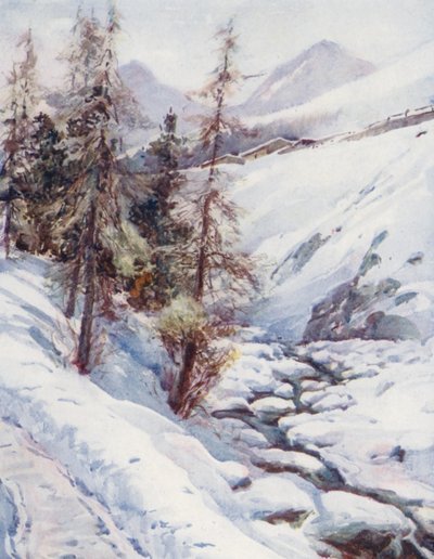  av Effie Jardine