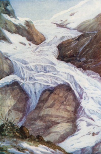  av Effie Jardine