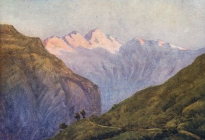  av Effie Jardine