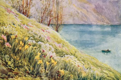  av Effie Jardine