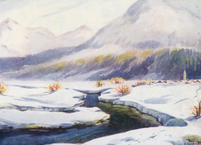  av Effie Jardine