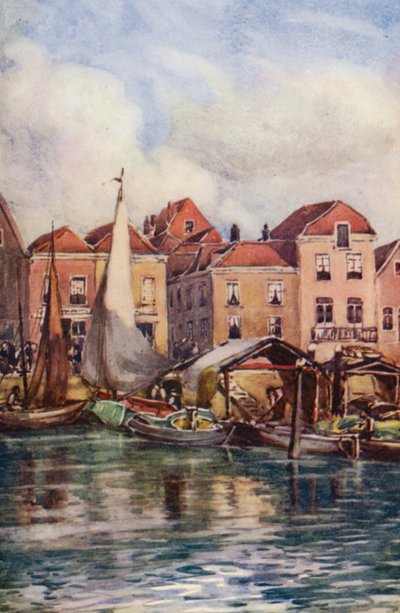  av Effie Jardine