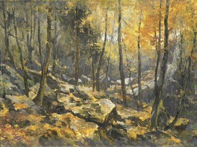 "Felsenmeer" av Egbert Rubertus Derk Schaap