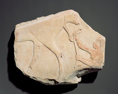 Fragment av et relieff som viser fødselen til en kalv, fra Asasif, Theben, tredje mellomperiode (ca. 1069-664 f.Kr.) (kalkstein) av Egyptian