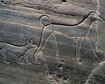 Et par hunder, avlastning fra inngangen, Sarenput II