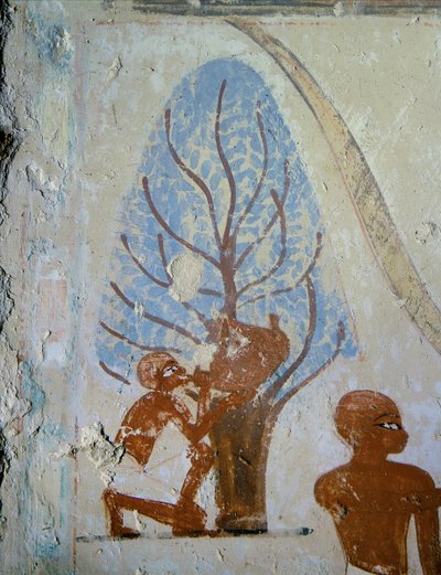 En bonde drikker av en vannsekk … av Egyptian 18th Dynasty