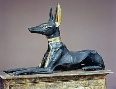 Anubis, egyptisk gud for de døde fra en kiste i form av en helligdom, fra graven til Tutankhamon (ca. 1370-52 f.Kr.) New Kingdom (tre) (se også 63054) av Egyptian 18th Dynasty
