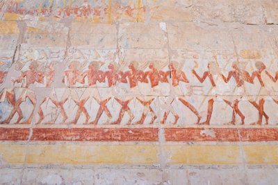 Basrelieff utskjæring av Hatshepsuts reise til landet Punt (Somalia), Hatshepsut-tempelet til Deir Al Bahari, Luxor, Egypt (bilde) av Egyptian 18th Dynasty