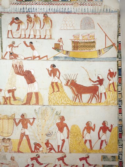 Båt og scener med høsting, innsamling, transport og prosessering av korn, freskomaleri, sørvinge, tverrkammer, Theban Tomb TT69, Sheikh Abd el-Qurna, Theben (Unescos verdensarvliste av Egyptian 18th Dynasty