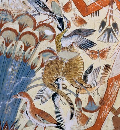 Detalj av en katt, fra Nebamun på jakt i myrene med sin kone en datter, en del av et veggmaleri fra gravkapellet til Nebamun, Theben, New Kingdom, ca. 1350 f.Kr. av Egyptian 18th Dynasty