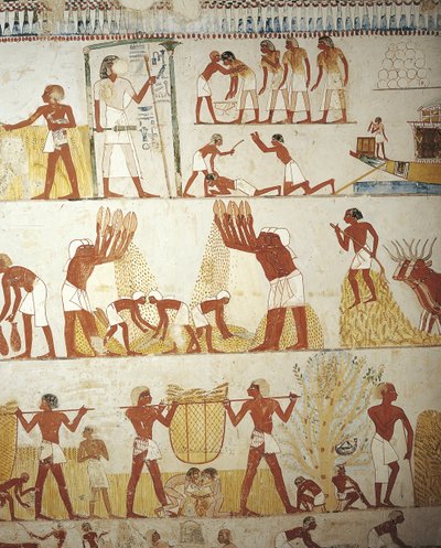 Egypt, Theben, Luxor, Sheikh 
