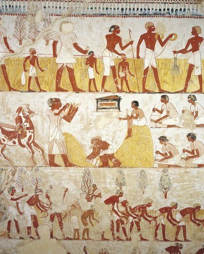 Egypt, Theben, Luxor, Sheikh 
