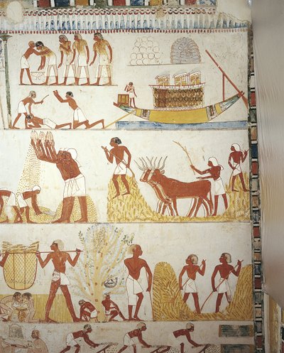 Egypt, Theben, Luxor, Sheikh 'Abd al-Qurna, graven til kongelig eiendomsoppsynsmann Menna, Vestibyle, veggmalerier, Arbeid i felt av Egyptian 18th Dynasty