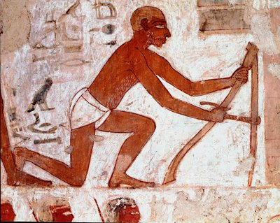 Egyptisk kunst: Tomb of Rekhmire. Ploucherarbeid med landbruksverktøyet sitt. Fresco of Luxor (Tebens sted, Sheikh Abd al-Gournahs nekropolis (Gournah), venstre bredd av Nilen, Egypt. - Det gamle Egypt: Rekhmires grav. Arbeidet til en plogmann med sin agri av Egyptian 18th Dynasty