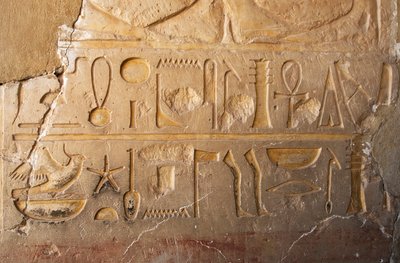 Egyptisk antikvitet: detalj av en inskripsjon med patron og hieroglyfer som representerer langt liv og velstand. Tempel dedikert til dronning Hatshepsut (Hatshepsut) (1479 f.Kr. - 1457 f.Kr.) Deir el Bahari, Egypt av Egyptian 18th Dynasty