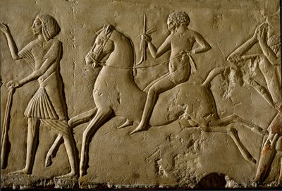 Egyptisk antikvitet: "" kriger på hesteryggen"" Relieff fra en grav av en høy dignitær. 1354-1346 f.Kr. 18. dynasti. Bologna, Civico Museo Archeologico av Egyptian 18th Dynasty