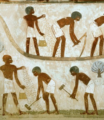 Bønder som brøyter jord, sår og pløyer (veggmaleri) av Egyptian 18th Dynasty