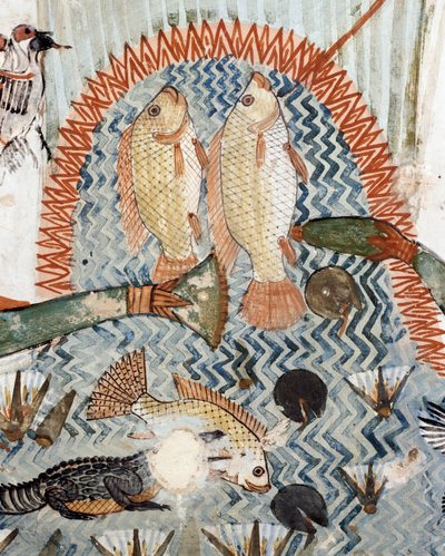 Fisk, detaljer fra åstedet for jakt og fiske i myrene, freskomaleri, nordvegg, langsgående kammer, Theban Tomb TT69, Sheikh Abd el-Qurna, Theben (Unescos verdensarvliste av Egyptian 18th Dynasty