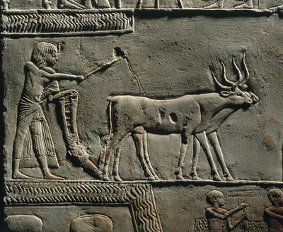  av Egyptian 18th Dynasty