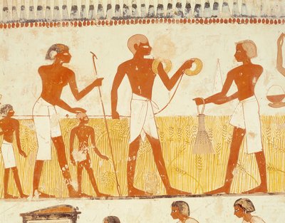 Måling av landet ved hjelp av tau, fra Tomb Chapel of Menna, New Kingdom (veggmaleri) (se også 251666) av Egyptian 18th Dynasty