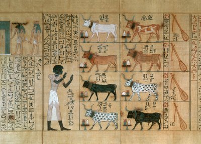  av Egyptian 18th Dynasty