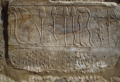  av Egyptian 18th Dynasty