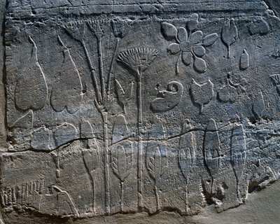  av Egyptian 18th Dynasty