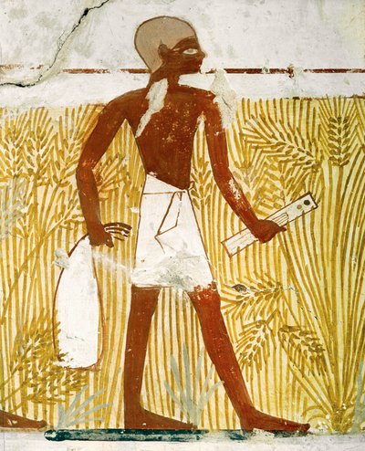 Skriver med rørpennboks som måler korn av Egyptian 18th Dynasty