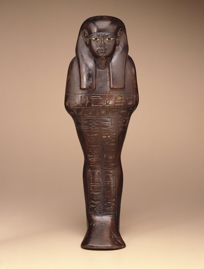 Shawabti av Maya, New Kingdom, ca. 1390–1353 f.Kr. (tre, maling og glass) av Egyptian 18th Dynasty