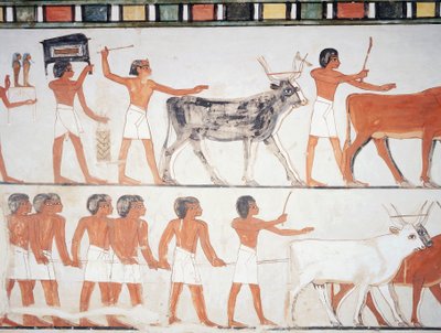 Hyrder og storfe, freskomaleri, sørvegg, langsgående kammer, Theban Tomb TT69, Sheikh Abd el-Qurna, Theben (Unescos verdensarvliste av Egyptian 18th Dynasty
