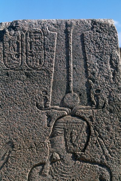  av Egyptian 19th Dynasty
