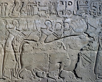  av Egyptian 19th Dynasty