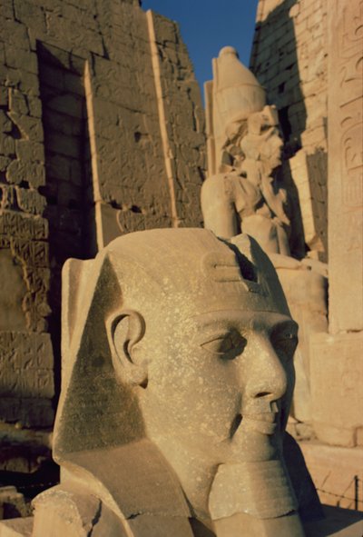 Kolossalt overhode for Ramesses II (1298-32 f.Kr.) New Kingdom av Egyptian 19th Dynasty