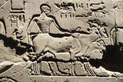  av Egyptian 19th Dynasty