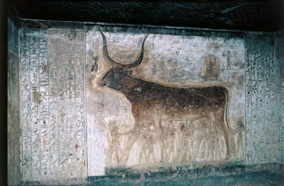  av Egyptian 19th Dynasty