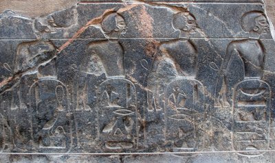 Egyptisk antikvitet: detalj av et relieff som dekorerer emblemene til territoriene erobret av farao Ramses II (1292-1186 f.Kr.). Luxors tempel. Østbredden (Theben), Egypt av Egyptian 19th Dynasty