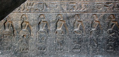 Egyptisk antikvitet: detalj av et relieff som dekorerer emblemene til territoriene erobret av farao Ramses II (1292-1186 f.Kr.). Tempel i Luxor. Østbredden (Theben), Egypt av Egyptian 19th Dynasty