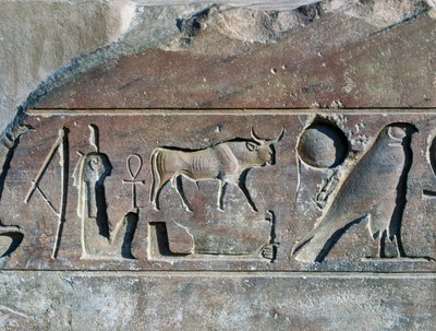 Hieroglyfer med navnet til Ramesses II, base av obelisken, Temple of Amun (Unescos verdensarvliste) av Egyptian 19th Dynasty