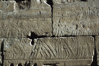  av Egyptian 19th Dynasty