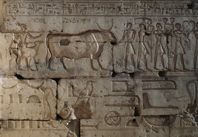 Relieff, Temple of Ramses II, Abydos, Egypt, egyptisk sivilisasjon, New Kingdom, Dynasty XIX (bilde) av Egyptian 19th Dynasty