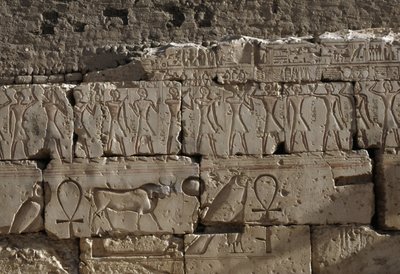 Relieff, Temple of Ramses II, Abydos, Egypt, egyptisk sivilisasjon, New Kingdom, Dynasty XIX (bilde) av Egyptian 19th Dynasty