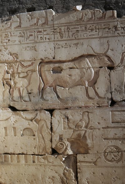 Relieff, Temple of Ramses II, Abydos, Egypt, egyptisk sivilisasjon, New Kingdom, Dynasty XIX (bilde) av Egyptian 19th Dynasty
