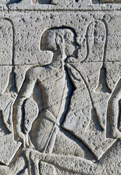  av Egyptian 19th Dynasty
