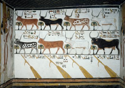 Syv himmelske kyr, ektemann okse og fire styrende årer, kapittel 148 i Book of Dead, detalj fra fresker i andre kammer av Tomb of Nefertari, Valley of Queens, Luxor, Theben. Egyptisk sivilisasjon, New Kingdom, Dynasty XIX. av Egyptian 19th Dynasty