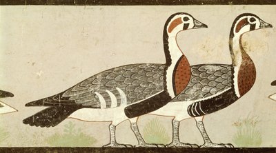 Meidum gjess, fra graven til Nefermaat og Atet, Old Kingdom, ca. 2620 f.Kr. (malt stukkatur) av Egyptian 4th Dynasty
