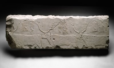 Reliefffragment med kong Khufus storfe, c2535 (kalkstein) av Egyptian 4th Dynasty