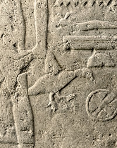 Detalj av relieff av Pehenuka, Old Kingdom, 2465-2323 f.Kr. (kalkstein) (se også 440560, 440566, 440559 og 440564) av Egyptian 5th Dynasty