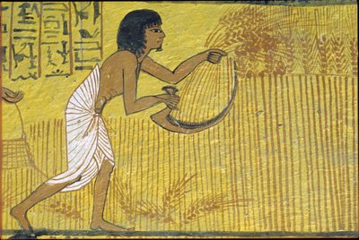 av Egyptian Egyptian