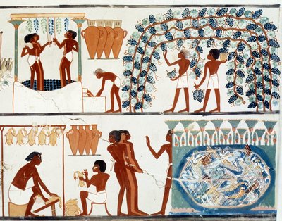 Art Egypt: plukke og tråkke druer. Simile College of the Tomb of Nakht, perioden for Amenophis II (ca. 1450-1425 f.Kr.) Paris, College De France av Egyptian Egyptian